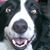 Mark Hondley's profile image