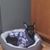 Doreen Alsen's profile image