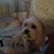 Mark Armstrong's profile image
