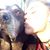 Dayna Olenik's profile image