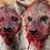 Doug Sayre's profile image