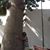 Colin Palmera's profile image