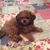 Sherry Paul's profile image