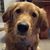 Janet Veader's profile image