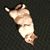 Kia Alsept's profile image