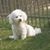 Penny Hardie's profile image