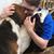Michelle Parmenter Hunter's profile image