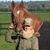 Denise Duffy's profile image