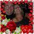 Debbie Evans Lewis's profile image