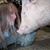 Kimberly Clovis's profile image