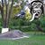 Austin Braddock's profile image
