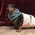 Theresa Johnson's profile image