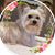 Tracy Rice Milton's profile image