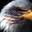 Ed D's profile image