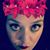 Kristin Lyall's profile image
