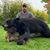Jonathan Habeck's profile image