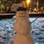 Carol Lynn Pruitt-Vrana's profile image