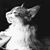 Debbie Clark's profile image