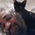 David Sklar's profile image