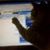 Terri Shockley's profile image