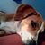 Terry Gogel's profile image