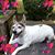 Mary Mack's profile image