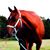Melisa Kearns's profile image