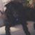 Inez Whittle's profile image