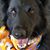 John Stephens's profile image
