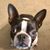 Peter Nason's profile image