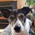 Susan Scofield's profile image