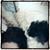 Heather Brown's profile image