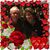 Gerry Griffith's profile image