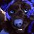 Mark Williams's profile image