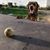 Deborah Whittington's profile image