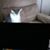 Kimberly Diener's profile image