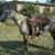 Regena Leonard's profile image