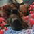 Betty Alexander King's profile image