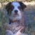 Ron Miller's profile image