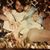 Carita Smith Montgomery's profile image