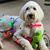 Pam Gunningham Shaw's profile image