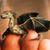 Tammi Thomas's profile image