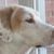 Audrey Alvarez Dwyer's profile image