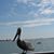 Jody Didier's profile image
