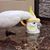 Kathy Heaton's profile image