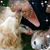 Tina M Schuelke's profile image