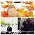 Jackie Kreutzer's profile image