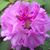 Jewel Tunstall's profile image