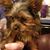 Maureen Rorrer Blankenship's profile image