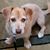Patrice Perow's profile image